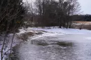 Texas Mother's Heartbreak: Failed Rescue of Three Sons from Icy Pond
