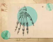 The Complex World of Wrists: Expert Tips for Prevention and Care