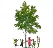 The Secret to Happiness in 2026: Stop Self-Improvement, Start Living