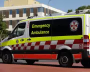 Third Sydney Shark Attack in Two Days Leaves Man Critically Injured at Manly Beach