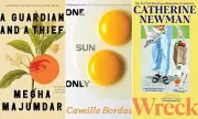 Three Must-Read Novels: Climate Thriller, Absurdist Stories & Family Comedy