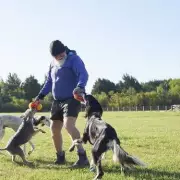 Top 10 Most Popular Dog Names in the UK Revealed for 2026