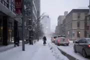 Toronto Snowstorm Chaos: 30cm Snow Brings City to a Halt, Schools Shut