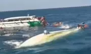 Tourist Speedboat Crash in Thailand Kills One, Injures 22