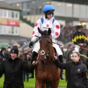 Tragedy at Kempton: Sir Alex Ferguson's Star Horse Kalif Du Berlais Dies After Chase Fall