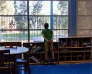 Trump Administration Freezes $10bn in Childcare Funds, Sparking 'Catastrophic' Fears