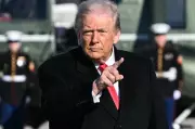 Trump's Greenland Obsession Reveals Strategic Contradictions in Foreign Policy