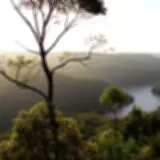 Two Teenagers Hospitalised After Cliff Fall in Berowra Valley National Park