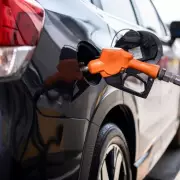 UK Diesel Pumps to Vanish as Demand Plummets, Report Warns
