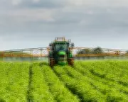 UK Food Sector Demands Transition Period for Post-Brexit EU Rules Realignment