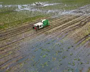 UK Security at Risk from Ecosystem Collapse, Warn Intelligence Chiefs