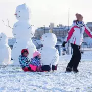 UK Snow Alert: Met Office Warns 121 Areas as Arctic Blast Brings 30cm Snow