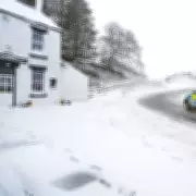 UK Weather Maps Turn Green as Widespread Snow Forecast Amid -8C Freeze