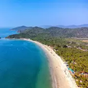 UKHSA Issues Chikungunya Warning to Holidaymakers After 150% Case Surge