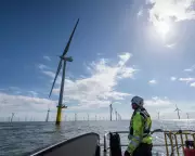 UK's Record 8.4GW Wind Auction Secures Power for 12m Homes at £91/MWh