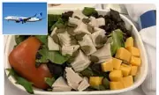 United Airlines' '3D-Printed Meat' First Class Meal Sparks Fury