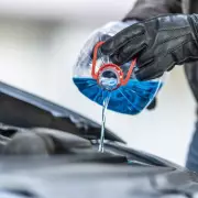 Urgent Warning to UK Drivers Using Antifreeze: Hidden Danger to Dogs