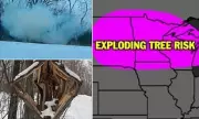 US Braces for Historic Winter Storm as Meteorologists Warn of Exploding Trees