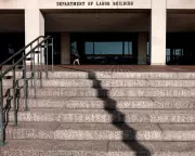 US Labour Department Accused of 'White Supremacy Shift' Over Nazi-Like Slogan