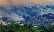 Victoria Bushfire Emergency: Walwa Residents Told to Flee as Blaze Spreads