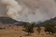 Victoria Bushfires Force Mass Evacuations as Record Heatwave Intensifies