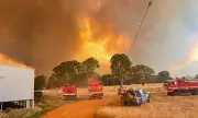 Victoria's Otways Bushfire Crisis: Homes Lost, Towns Evacuated Amid Record Heatwave