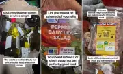 Vigilante 'Food Waste Inspector' Exposes Supermarket Food Waste Scandal