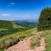 Welsh Hiker's Routine Walk Reveals Hidden Abandoned Building in Bridgend Woods