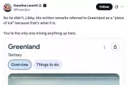White House Denies Trump's Repeated Iceland-Greenland Mix-Up at Davos Forum