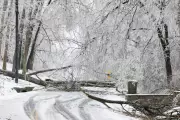 Winter Storm Power Outages Could Last Weeks as Utility Repairs Are Halted