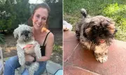 Woman Spends $50,000 Cloning Late Dog, Reveals Emotional Reality