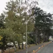 Woman's Body Recovered from Roath Park Lake in Cardiff, Police Investigate