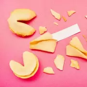 Woman's fortune cookie message leads to new cat after pet's death