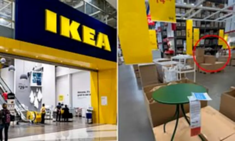 IKEA Orangutan Plush Sells Out Globally After Viral Baby Monkey Video