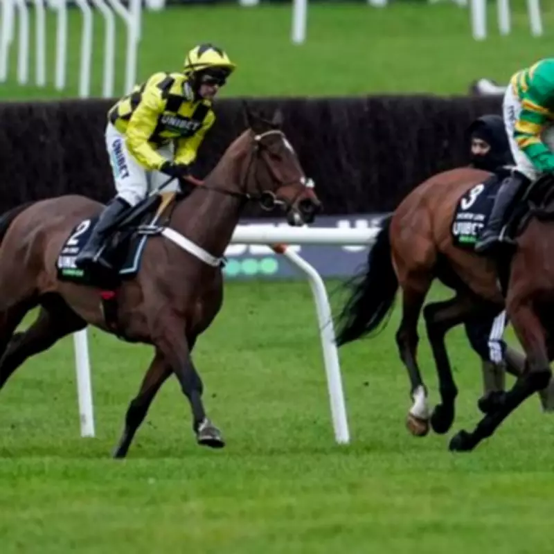 Sir Gino Faces Infection Battle After Pelvic Fracture, Cheltenham Hopes Dashed