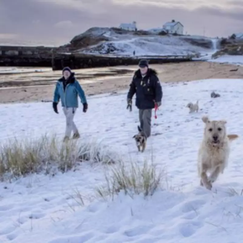 UK Braces for Two-Day Blizzard as Snow Maps Predict Widespread Disruption