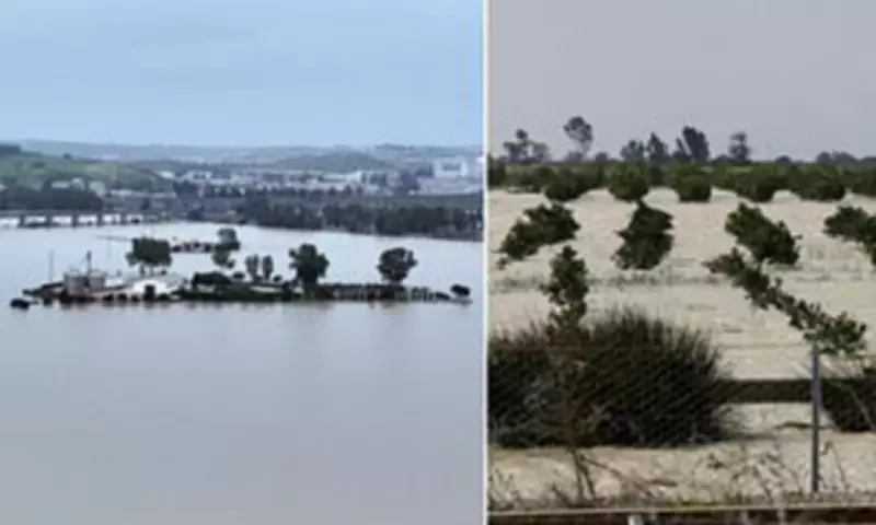 UK Supermarkets Face Fruit and Vegetable Shortages After Torrential Rains