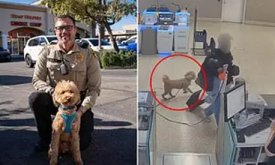 Abandoned Airport Dog 'Jet Blue' Adopted by Rescuing Las Vegas Police Officer
