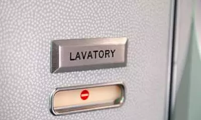 Aer Lingus Passenger in Tears After Toilet Access Denied, Sacked Crew Files Claim