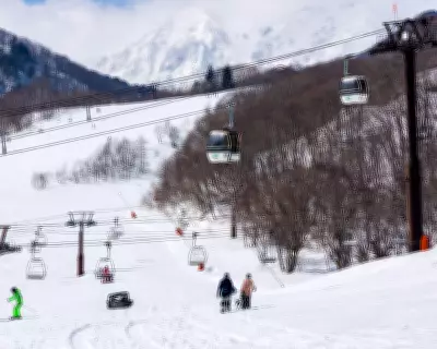 Australian Snowboarder Dies in Tragic Ski Lift Accident at Japanese Resort