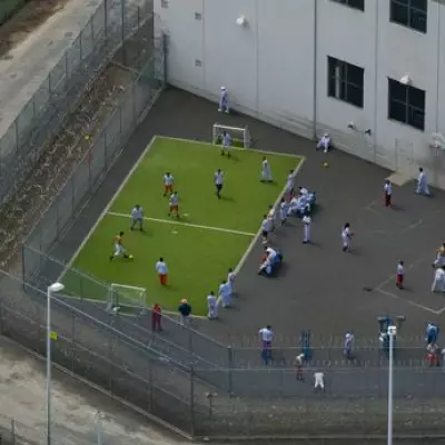 British Grandmother Handcuffed and Held by ICE for Six Weeks Despite Valid Visa