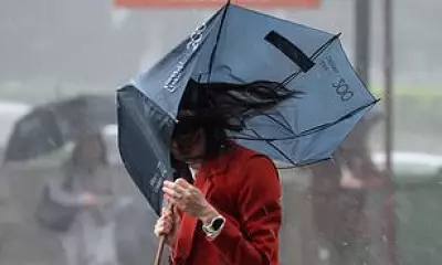 Bureau of Meteorology's $100M Website Fails During South Australia's Severe Storms