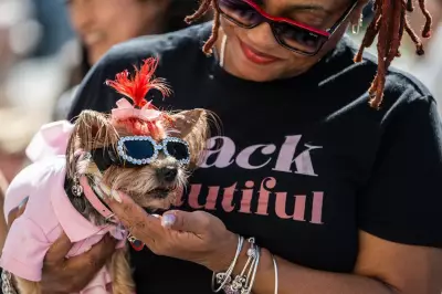 Canine Cancer Survival Linked to Gut Bacteria in Groundbreaking Study