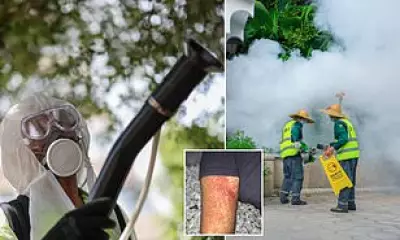 CDC Expands Chikungunya Travel Warnings Amid Global Virus Spread