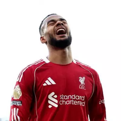 Cody Gakpo's Liverpool Future in Doubt as Former Coach Hints at Transfer