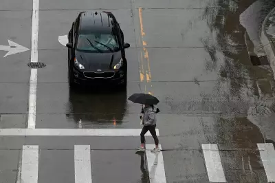 EPA Scraps Start-Stop Credits, Zeldin Calls Feature 'Obama Switch' Everyone Hates