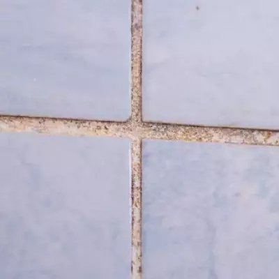 Expert's 10-Second Grout Cleaning Hack Uses One Natural Ingredient