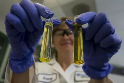 Experts Warn of Hidden Dangers in Popular Brain Supplement Trends