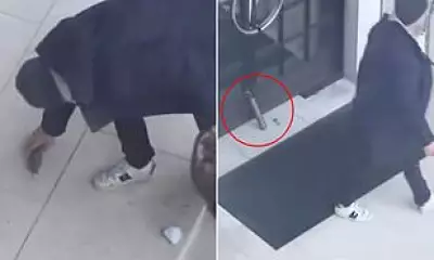 Failed Asylum Seeker's Fake Dynamite Hoax Triggers Major MI5 Terror Alert