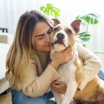 Five Key Signs Your Dog Truly Loves You, According to Canine Experts